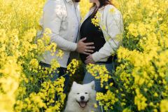 Photo-grossesse-ardennes