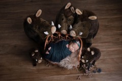 photographe-naissance-charleville-mezieres-ardennes-sanglier