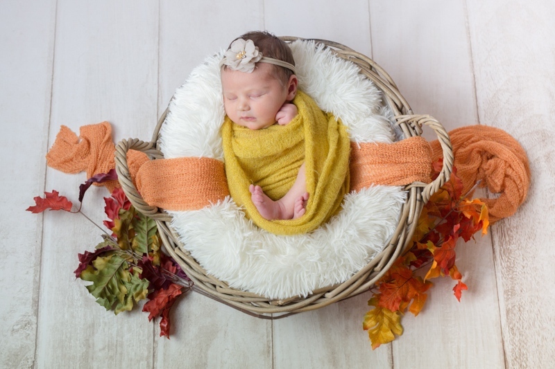 Portraits nouveau-né Ardennes bébé panier automne