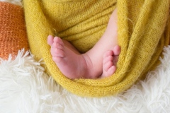 Portraits nouveau-né Ardennes détail