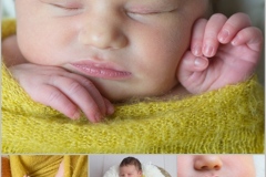 Portraits naissance studio Ardennes photo bébé collage détails